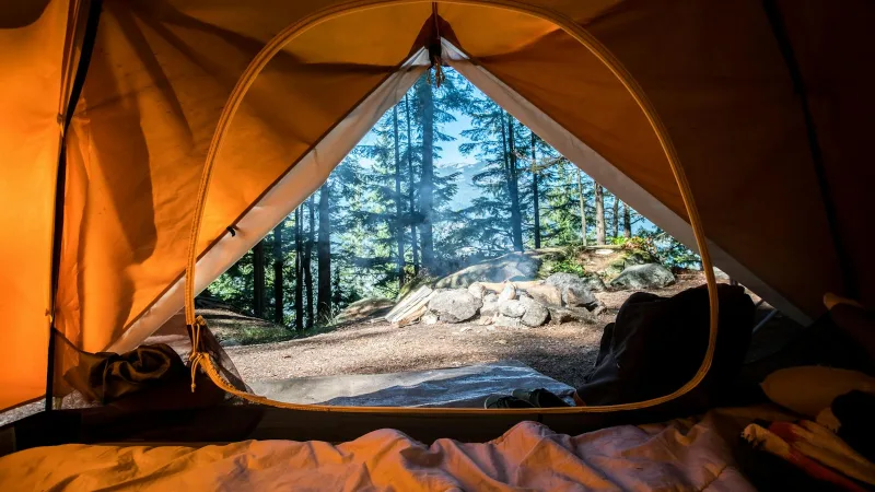 An orange camping tent among green trees